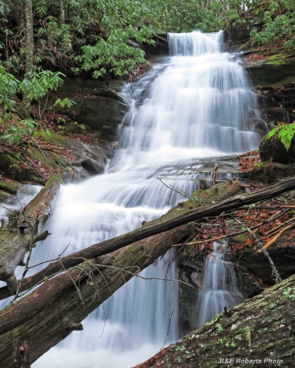 Lower_Bald_Springs_Falls