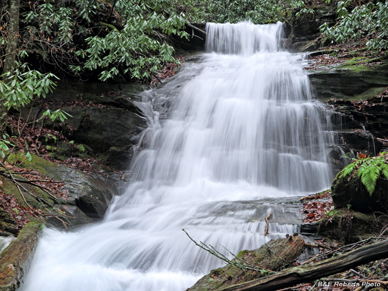 Lower_Bald_Springs_Falls