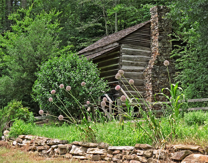 Beavers_cabin