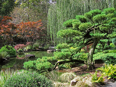 Japanese_Garden