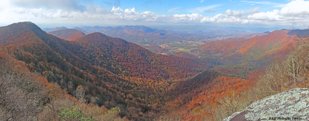 Arkaquah_view-foliage