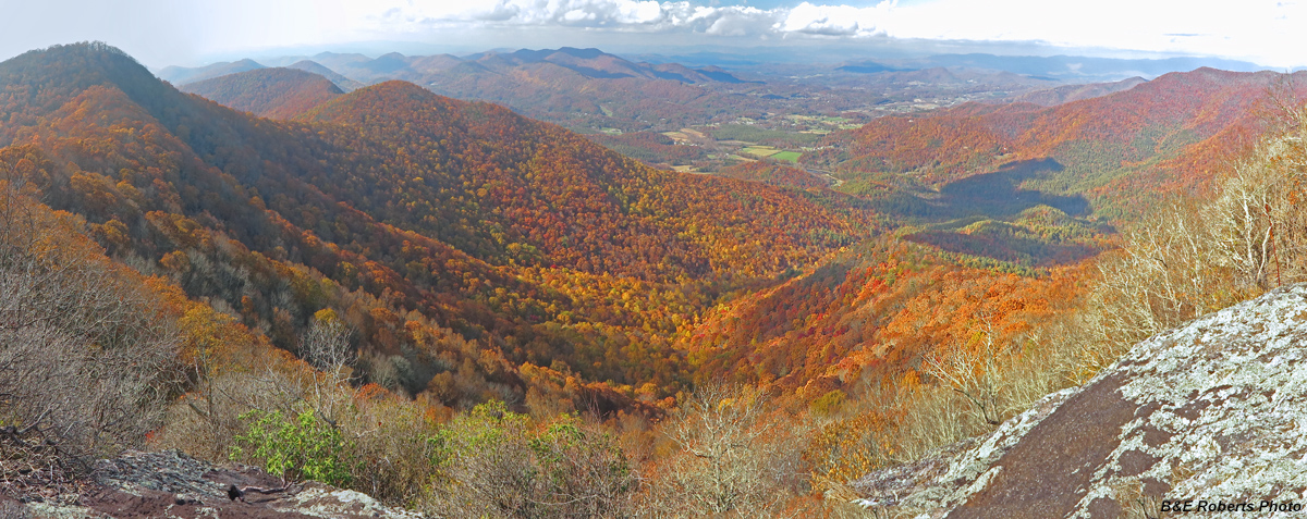 Arkaquah_view-foliage