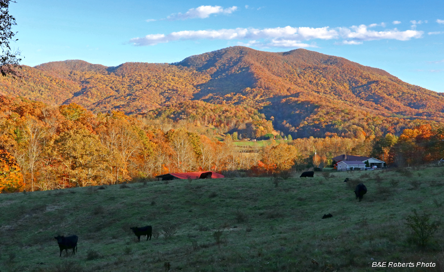 Eagle_Mtn_from_Low_Gap