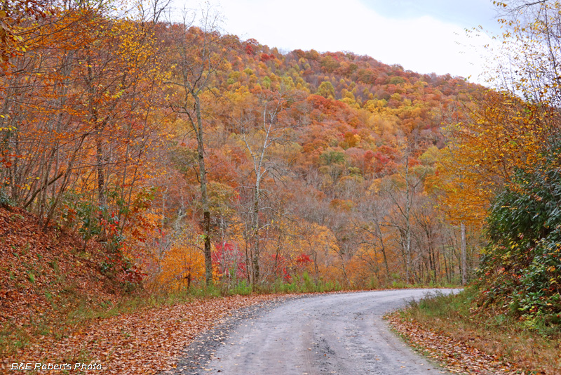 Road_ridge_foliage