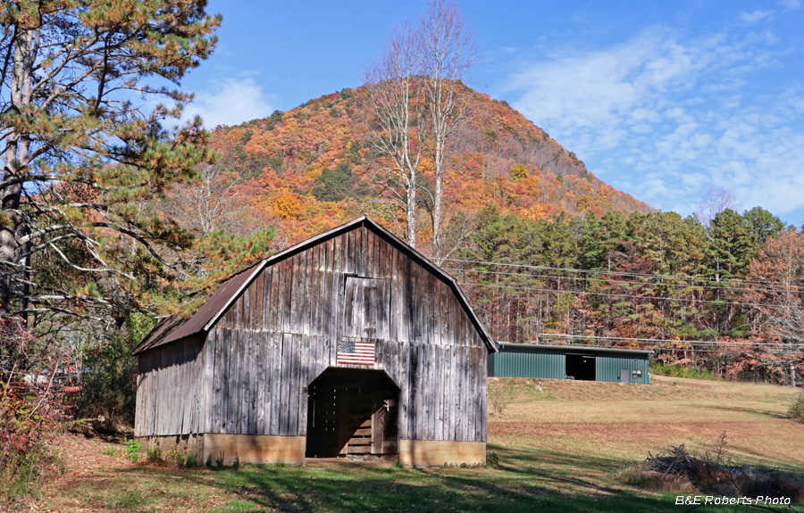 Tiger_area_barn