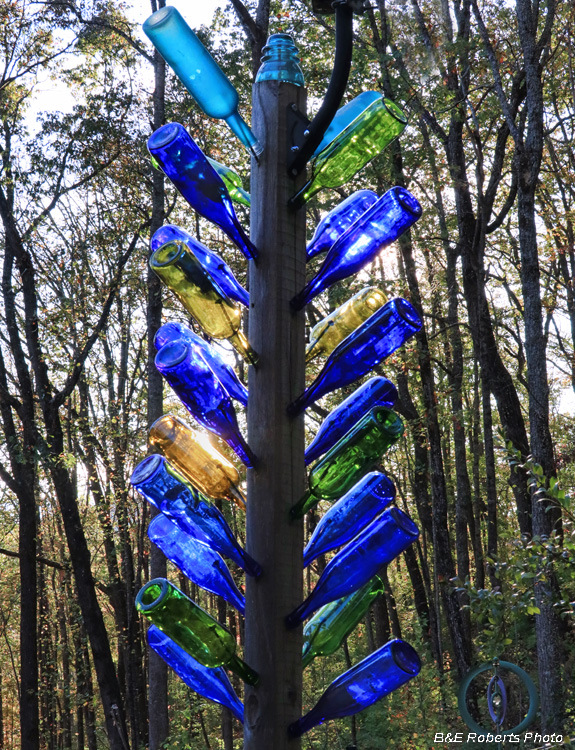 Bottle_tree