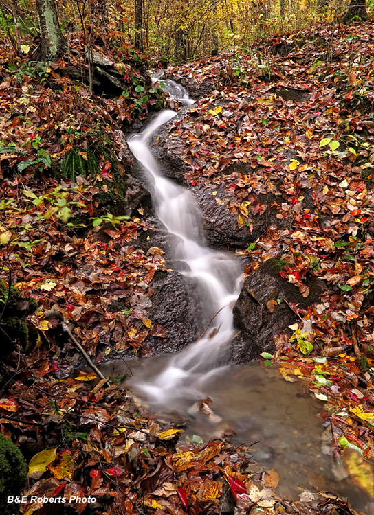 Bell_Creek_Cascade