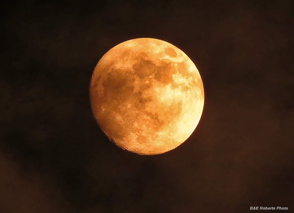 Orange_moon