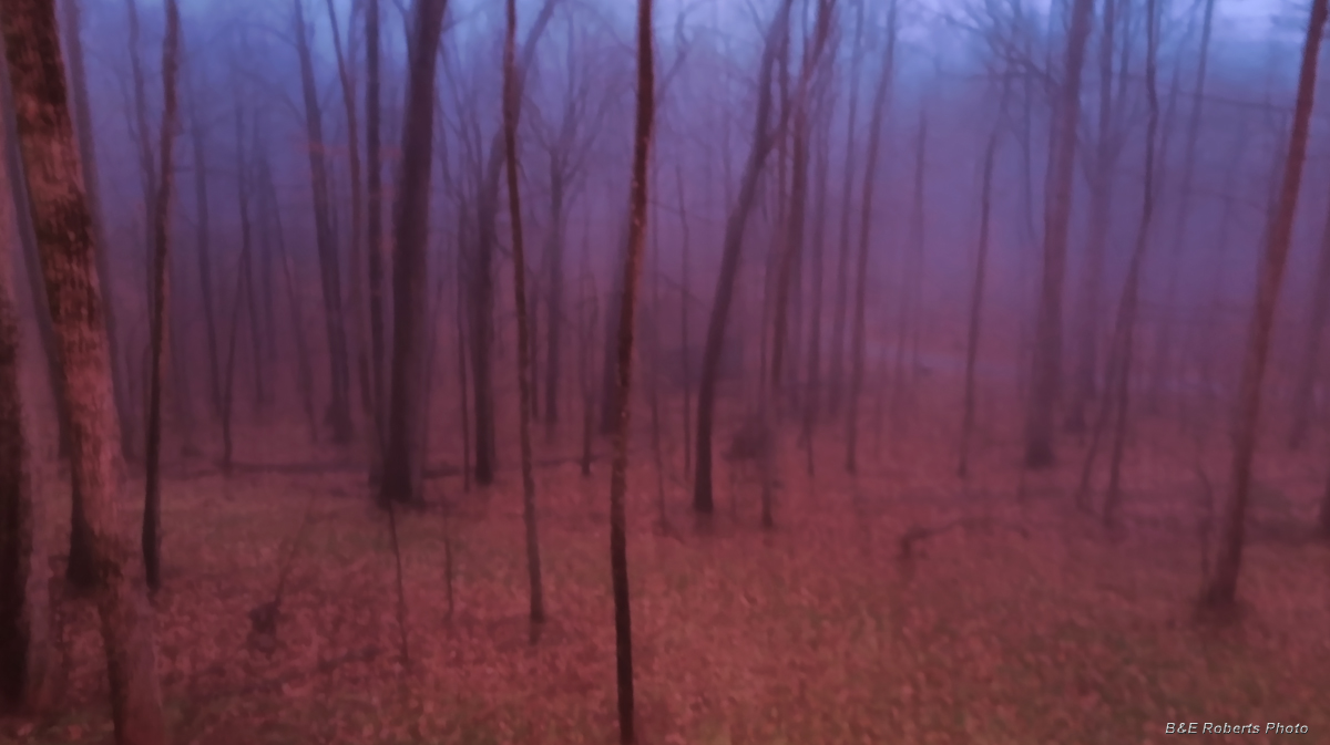 Blurry_Fog