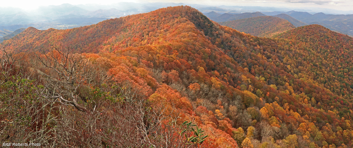 View_West_from_outcrop