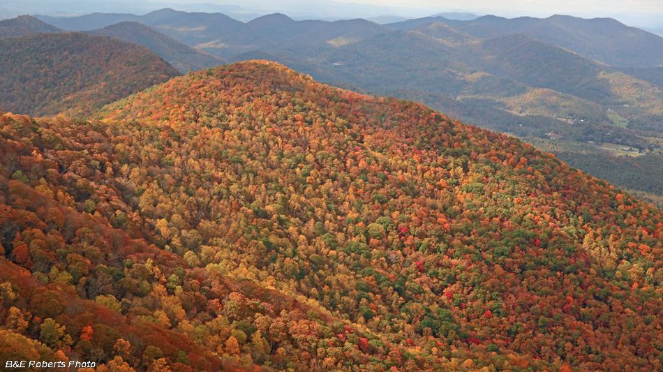 View_west_from_outcrop