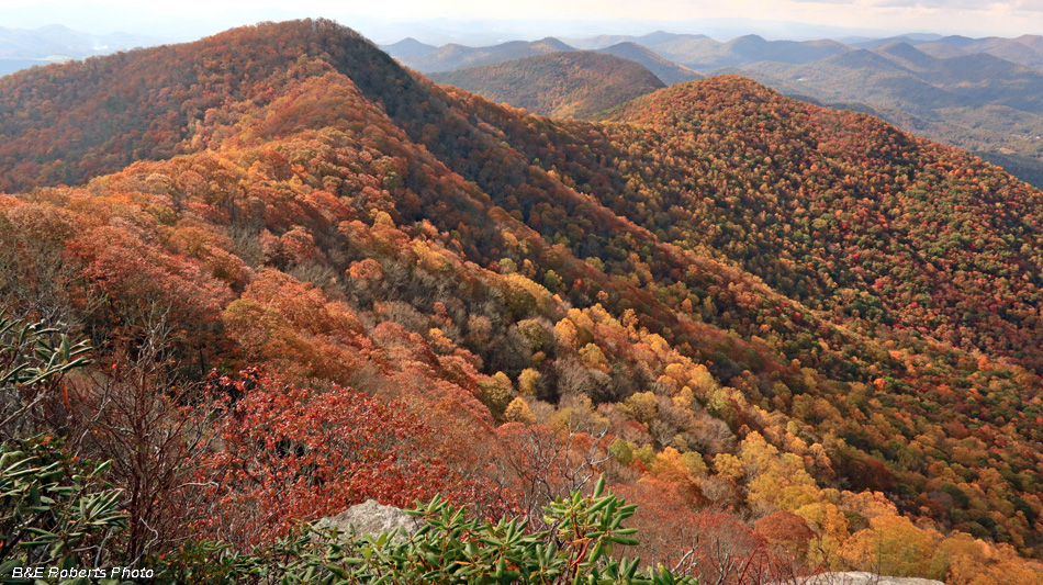 View_west_from_outcrop