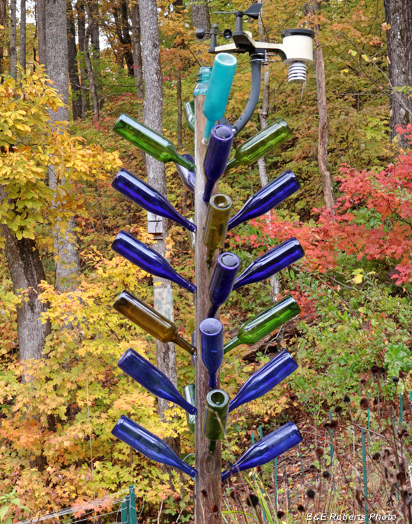 Bottle_tree