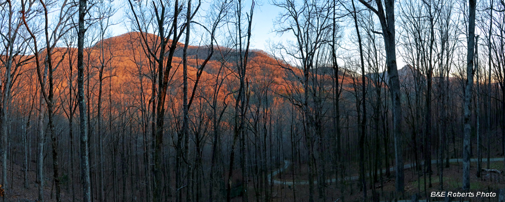 South_view_from_deck