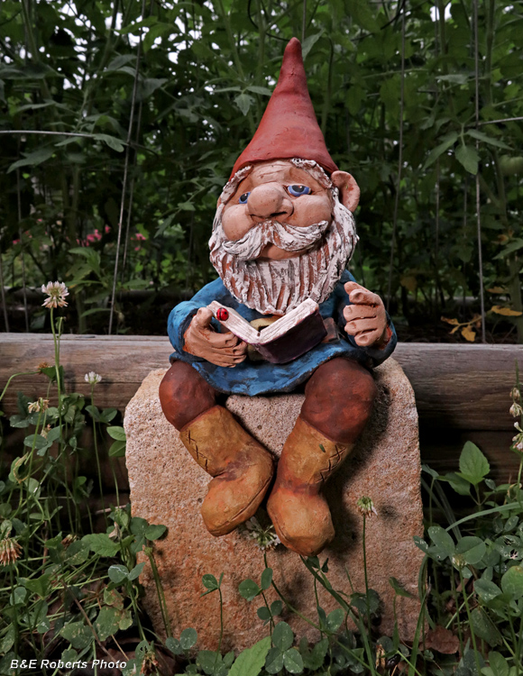 Gnome