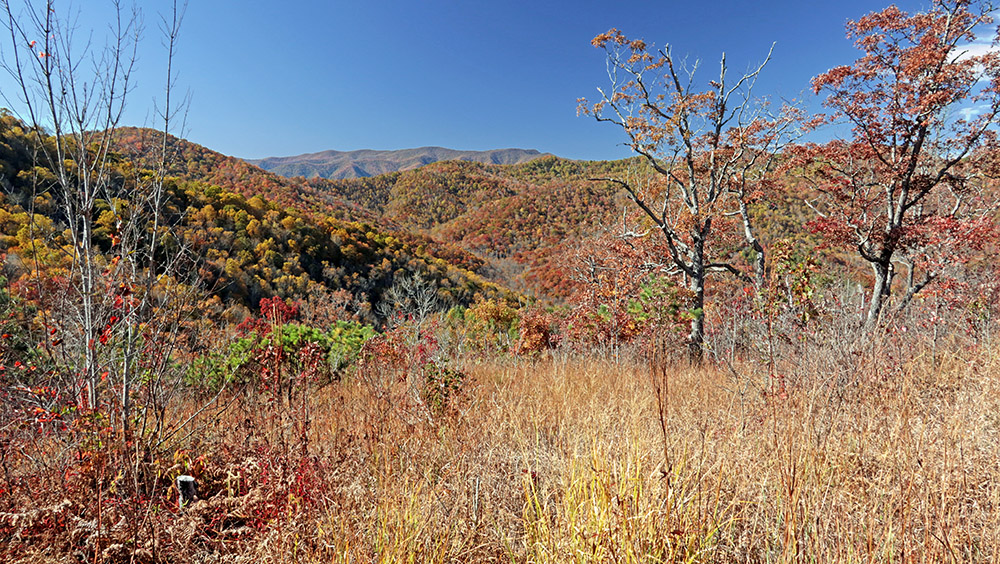 Corundum_Knob_view