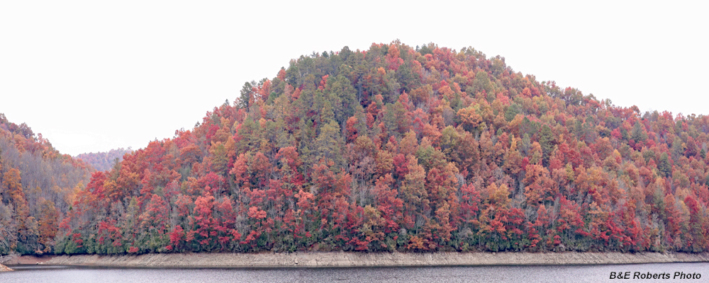 Nantahala_Lake_shore