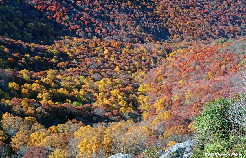 Outcrop_view