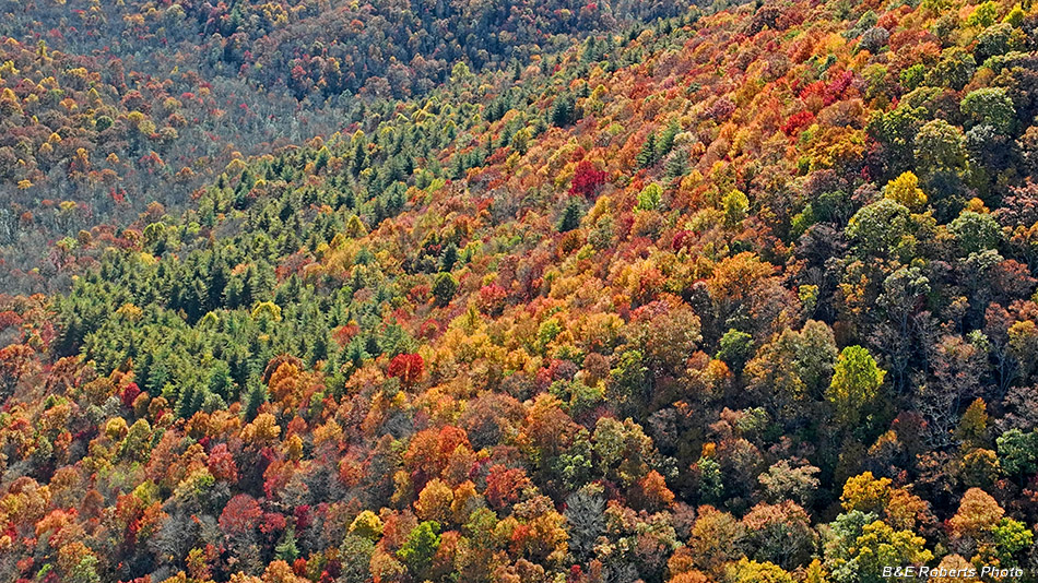 Colorful_ridge