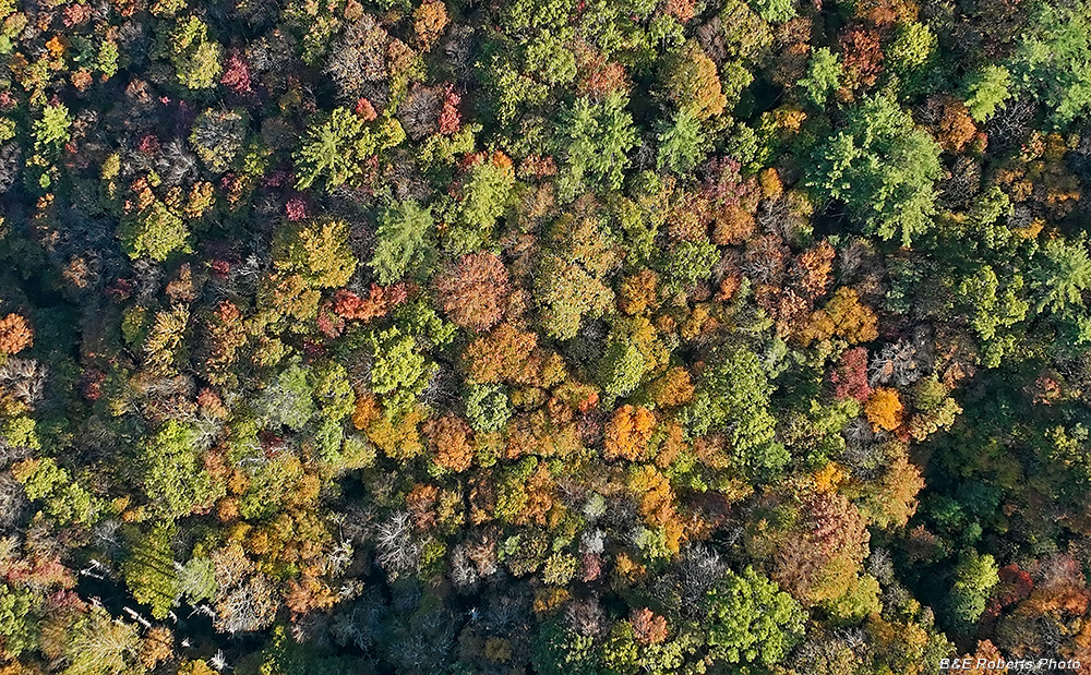 View_down_Clear_Crk_valley