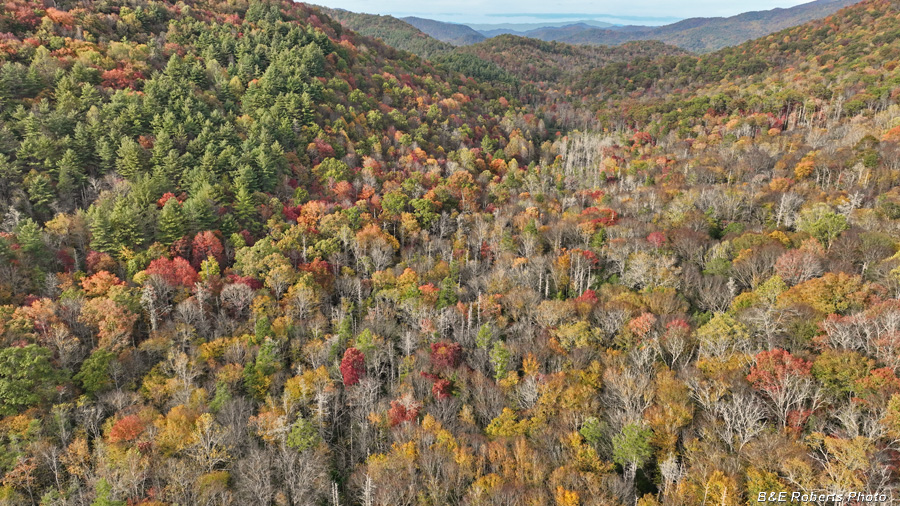 Clear_Creek_drainage