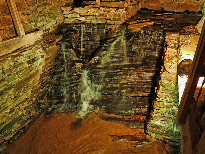 Watts_Mill_cellar_spring