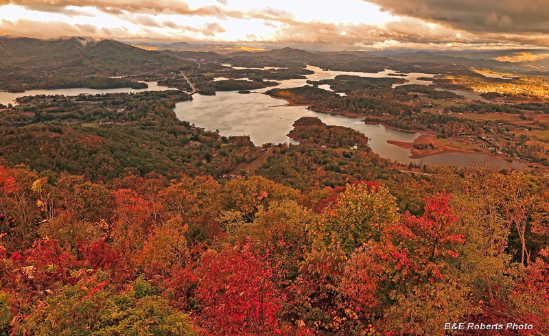 Bell_Knob_view