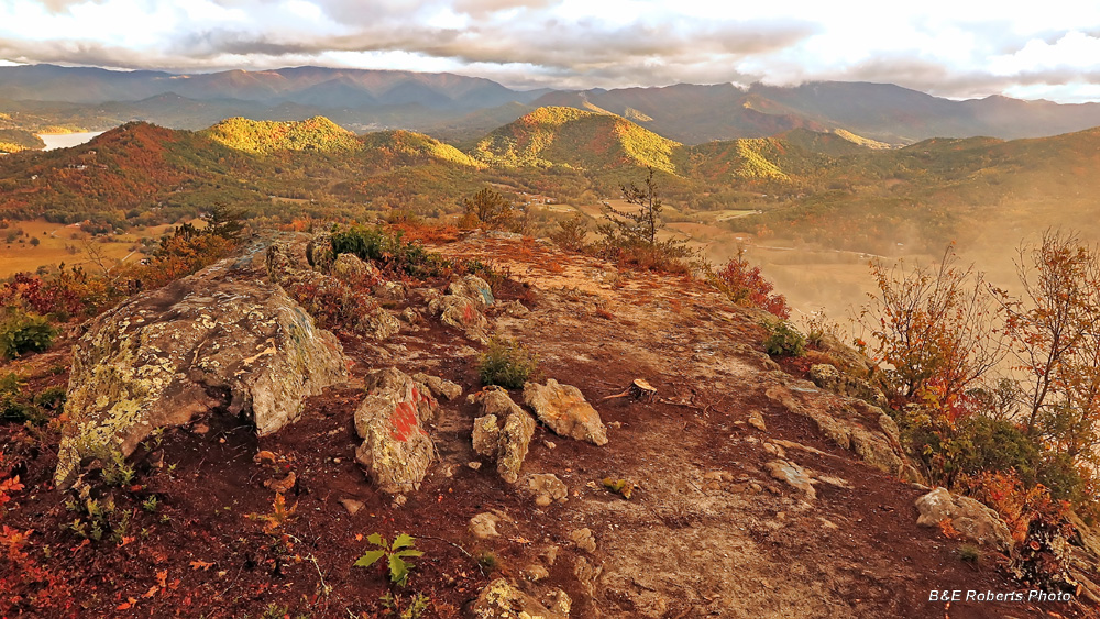 Bell_Knob_view