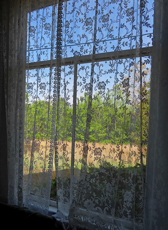 Window_view