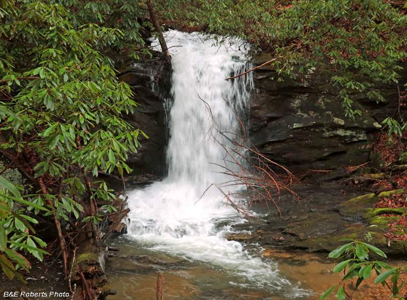 Tom_Branch_Falls