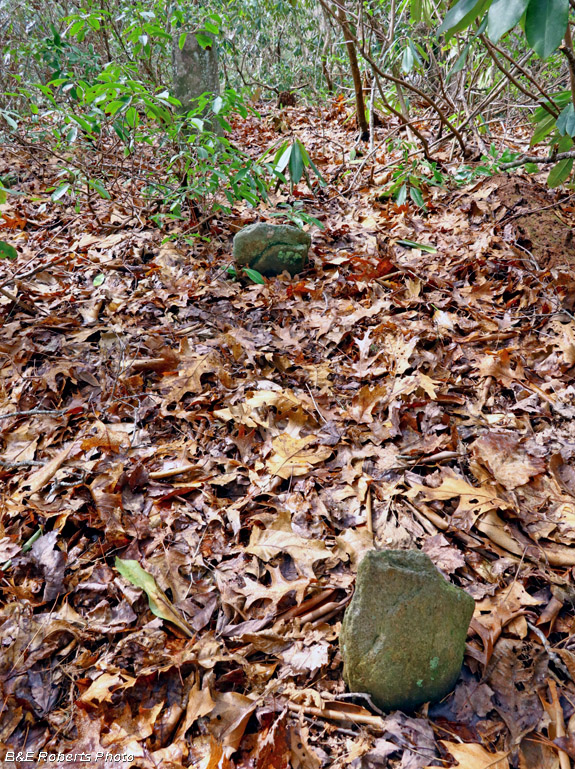 Old_Grave_marker