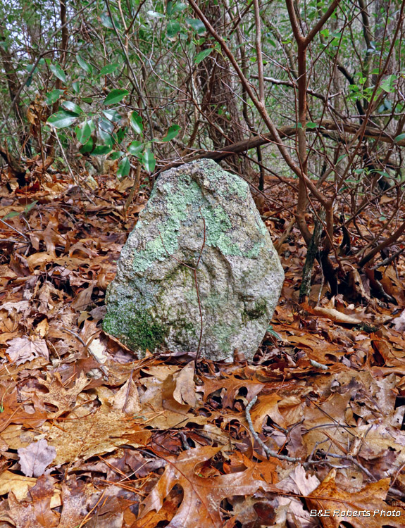 Old_Grave_marker