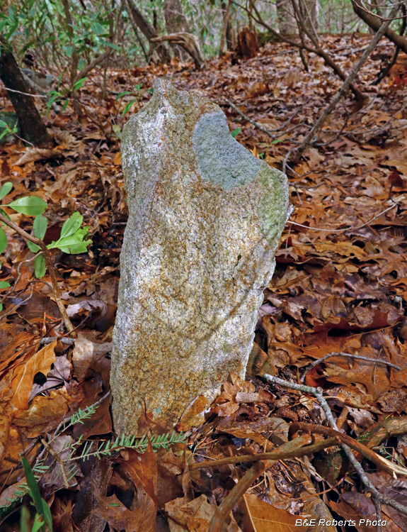 Old_Grave_markers