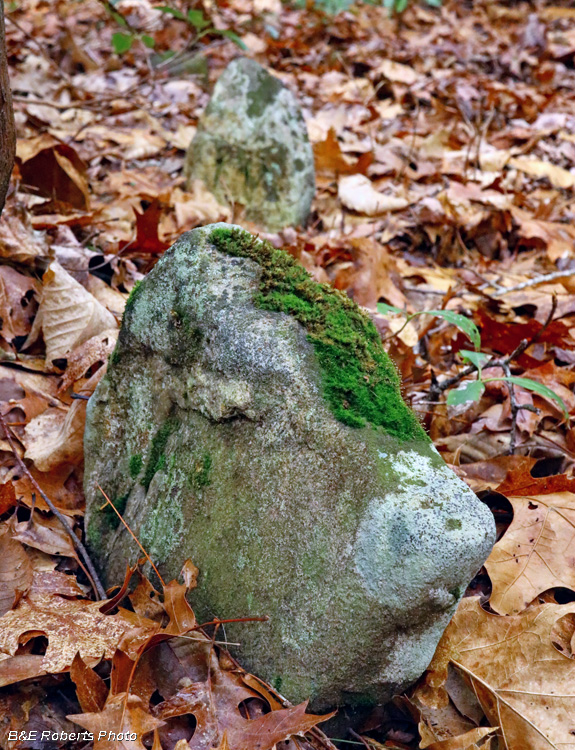 Old_Grave_markers