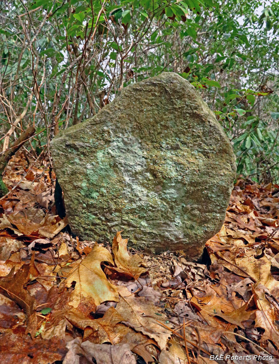 Old_Grave_marker