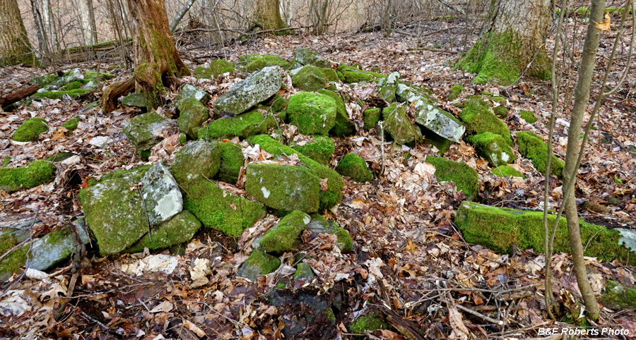 Collapsed_Chimney