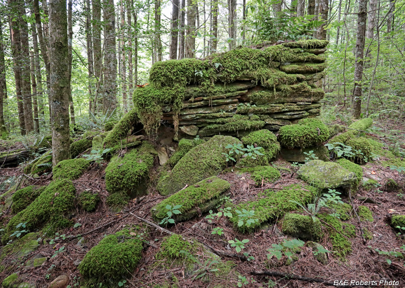 Collapsed_chimney