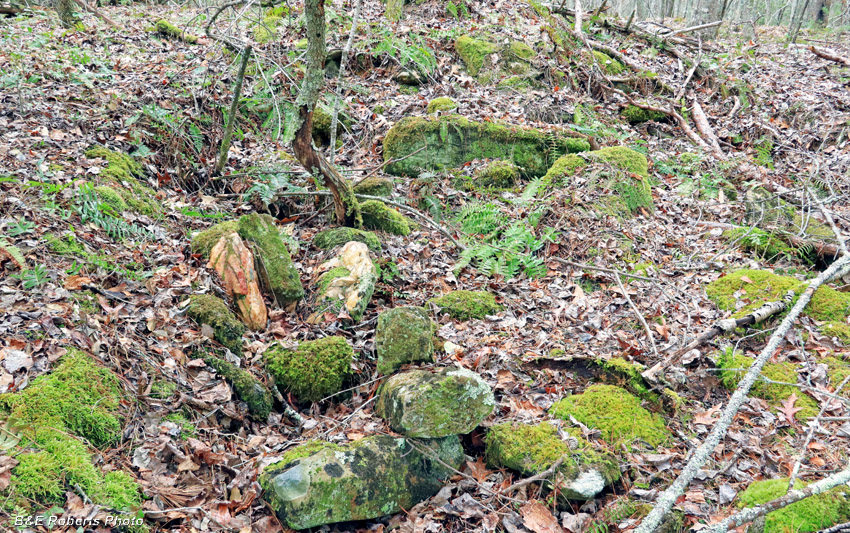 Collapsed_chimney