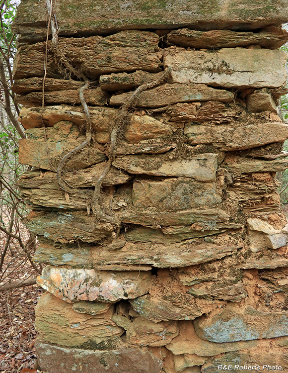 Chimney_detail