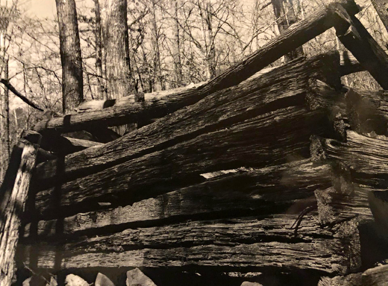 Log_cabin-1994
