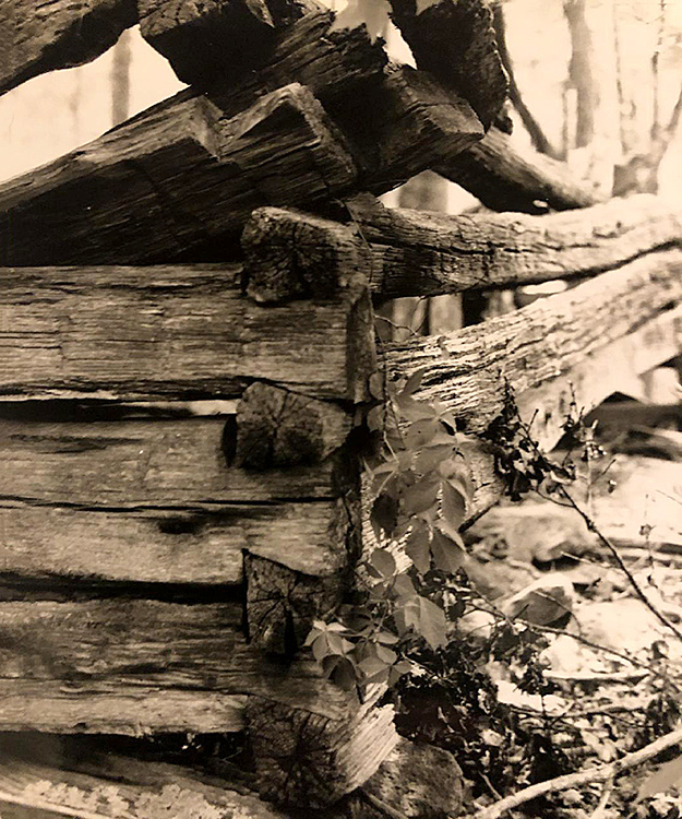 Log_cabin-1994