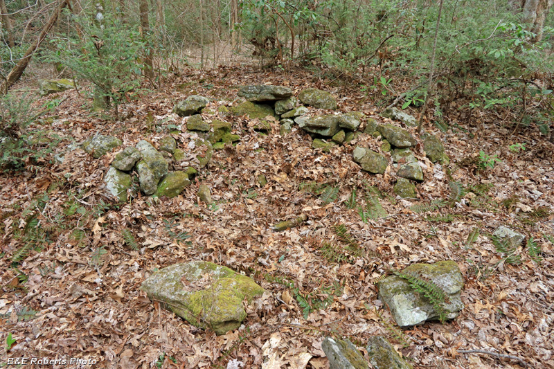 Collapsed_Chimney