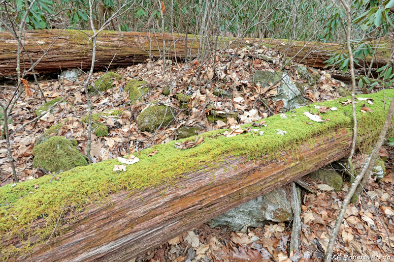 Collapsed_chimney