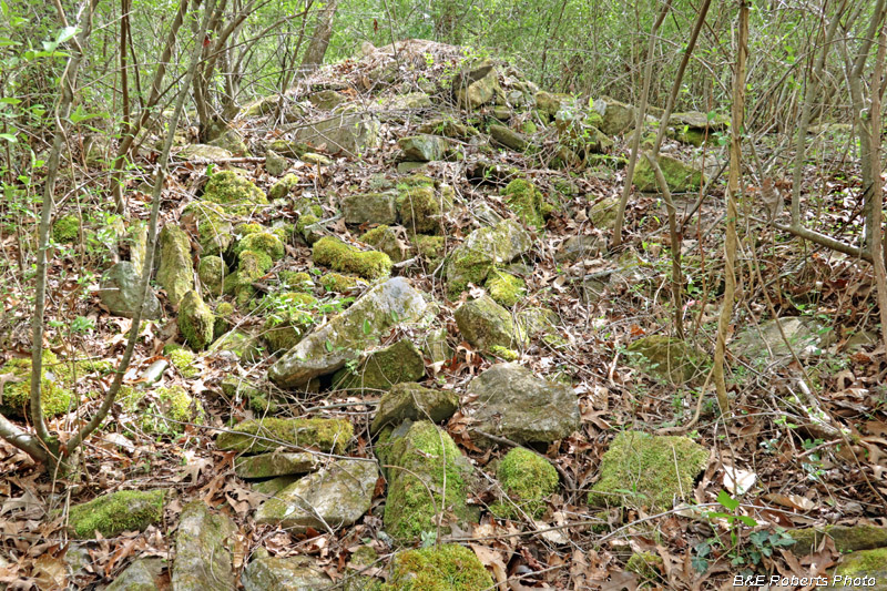 Cellar_chimney