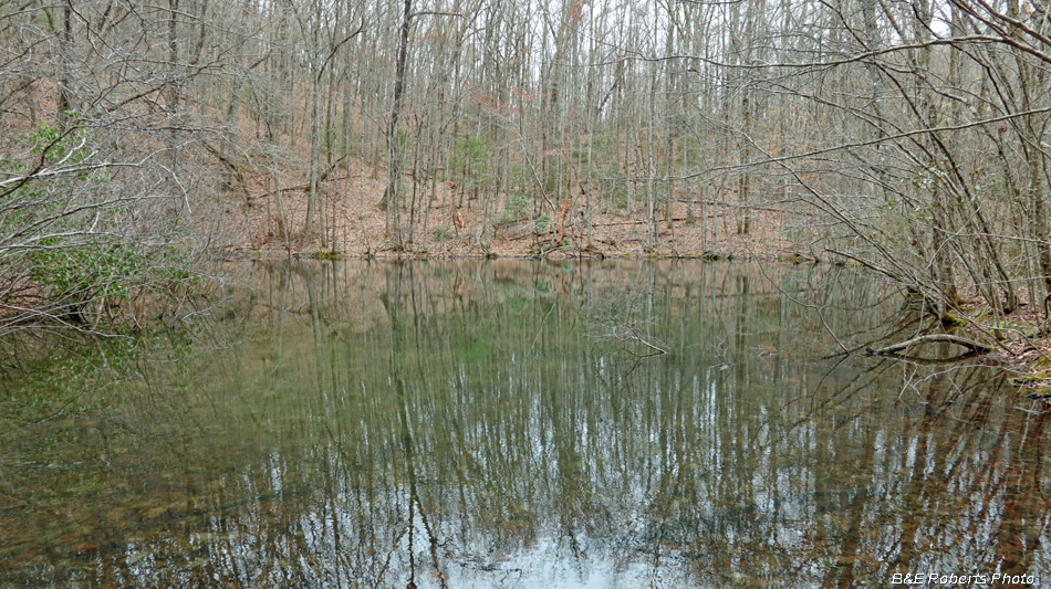 Pond