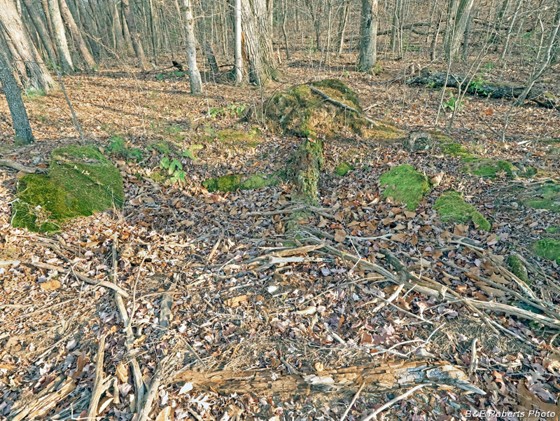 Collapsed_wall_slabs