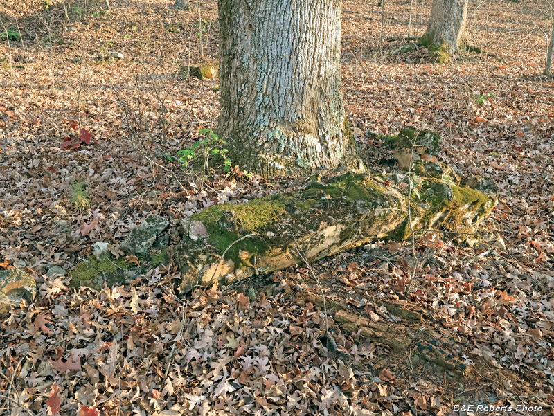 Foundation_wall_corner