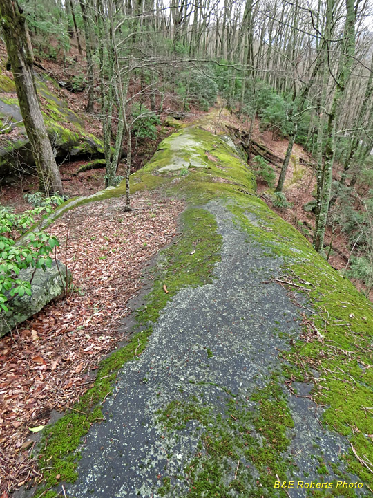 Natural_Bridge