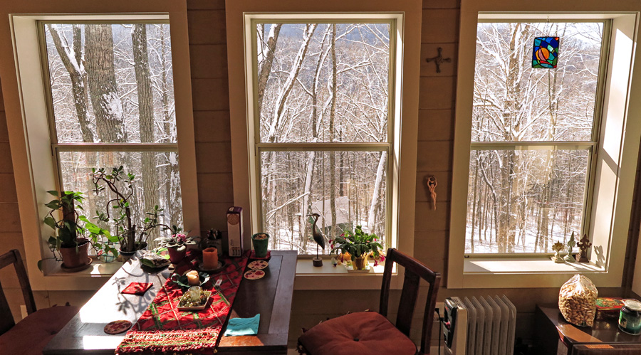 Sunroom_view