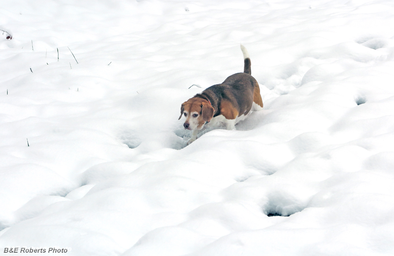 Enjoying_snow